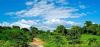 Pre-sale, new natural/agricultural style developm