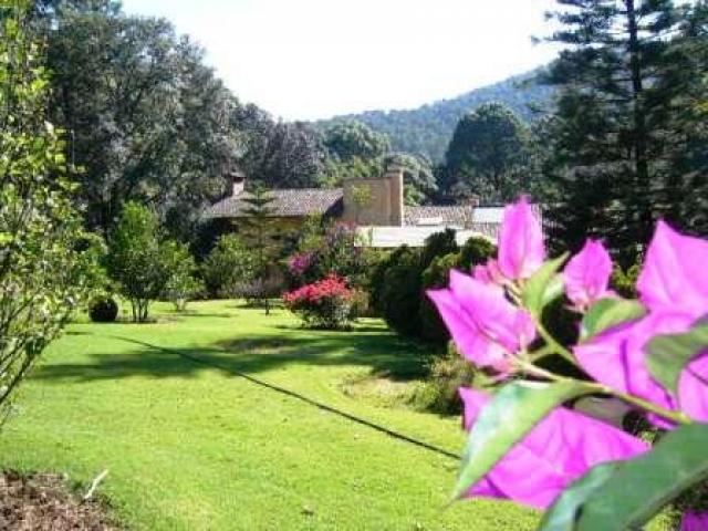 Excellent ranch for horses. 