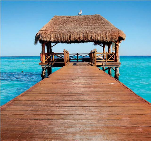 1 Bedroom Penthouse with solarium in Beachfront resort
