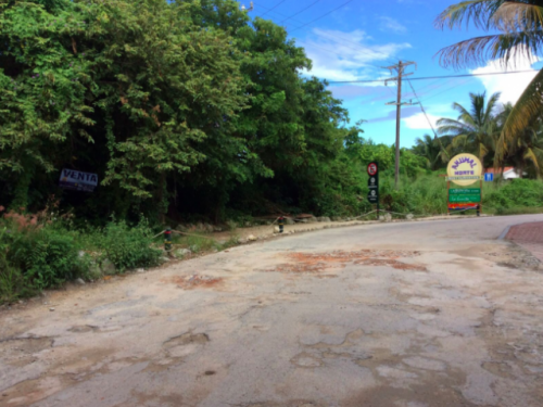 Beautiful  lot in akumal