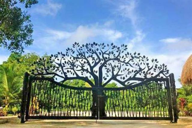 Priced to Sell Lot in the Gated Community of Los Arboles.