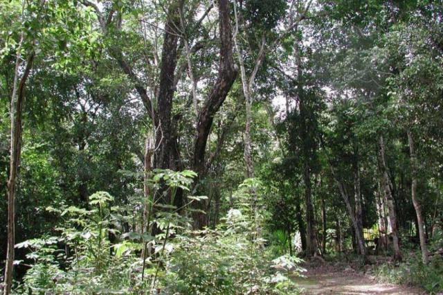 20901 Priced to Sell Lot in the Gated Community of Los  - SingleFam Lot