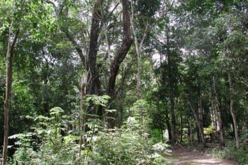 Priced to Sell Lot in the Gated Community of Los Arboles.