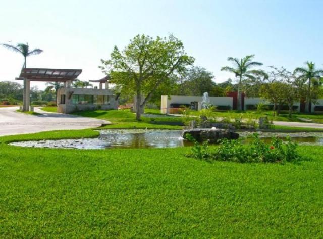 Residential lot in Selvamar