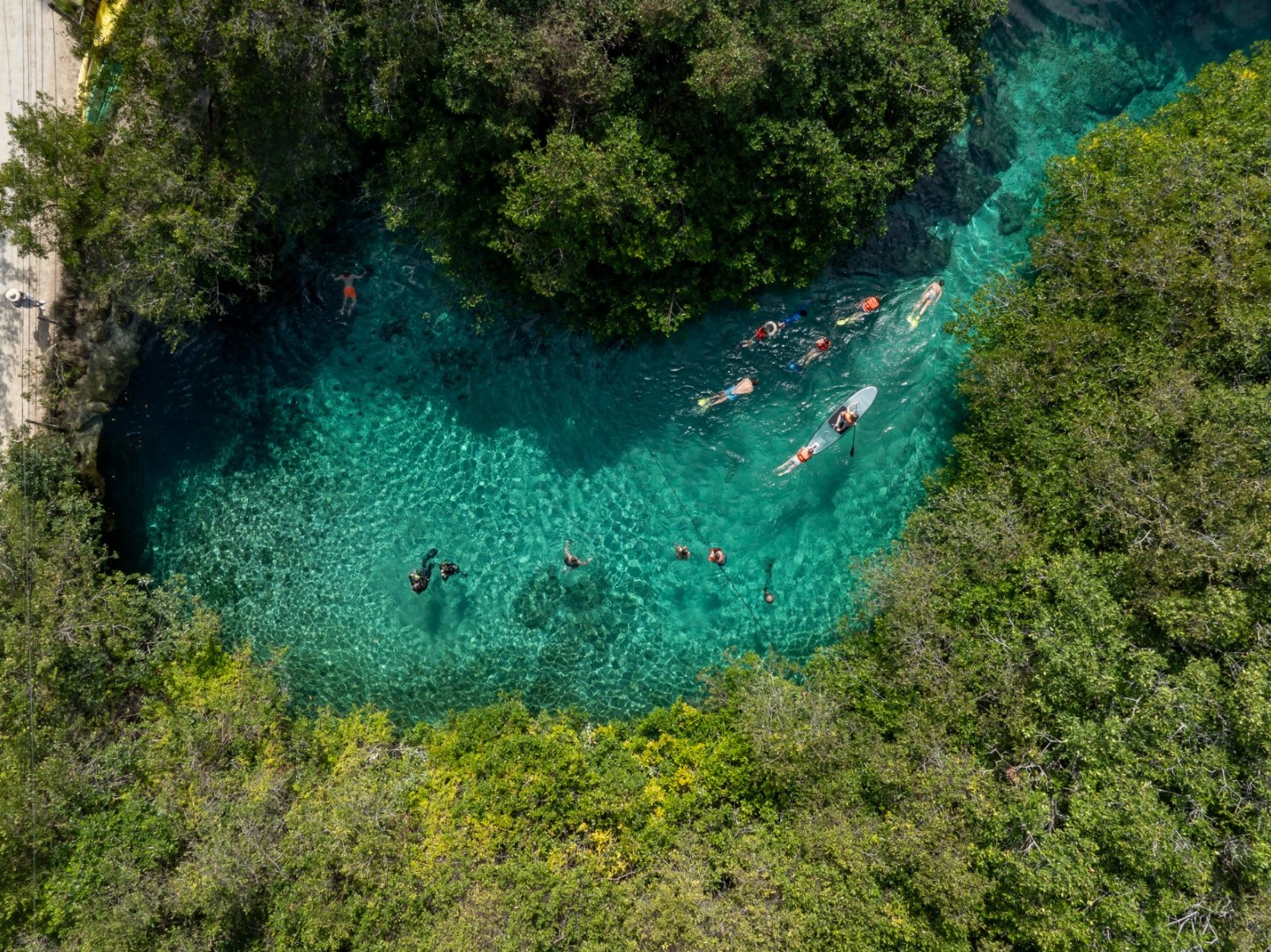 Beachfront studio with amazing views