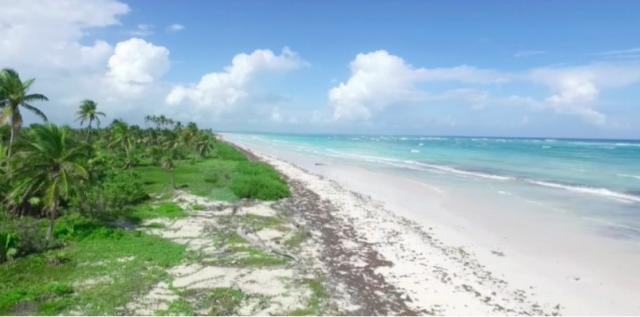 Paradise land for sale in Mahahual