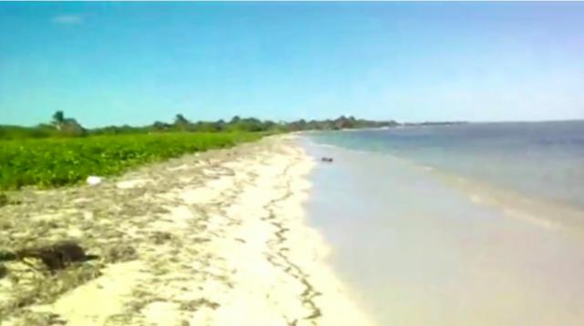Mahahual beachfront land 
