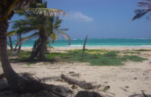 Ocean front land in Mahahual