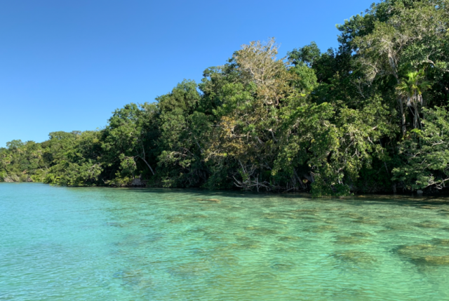 Ideal lot  for your summer home.