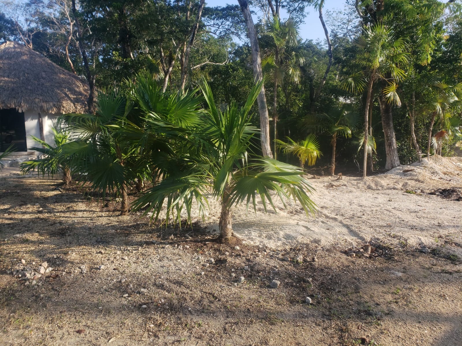 Residencial and mixed lots