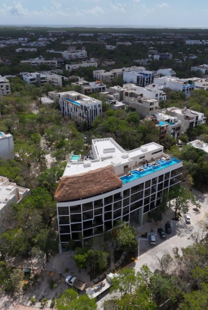 Cozy studio from succesful developer.