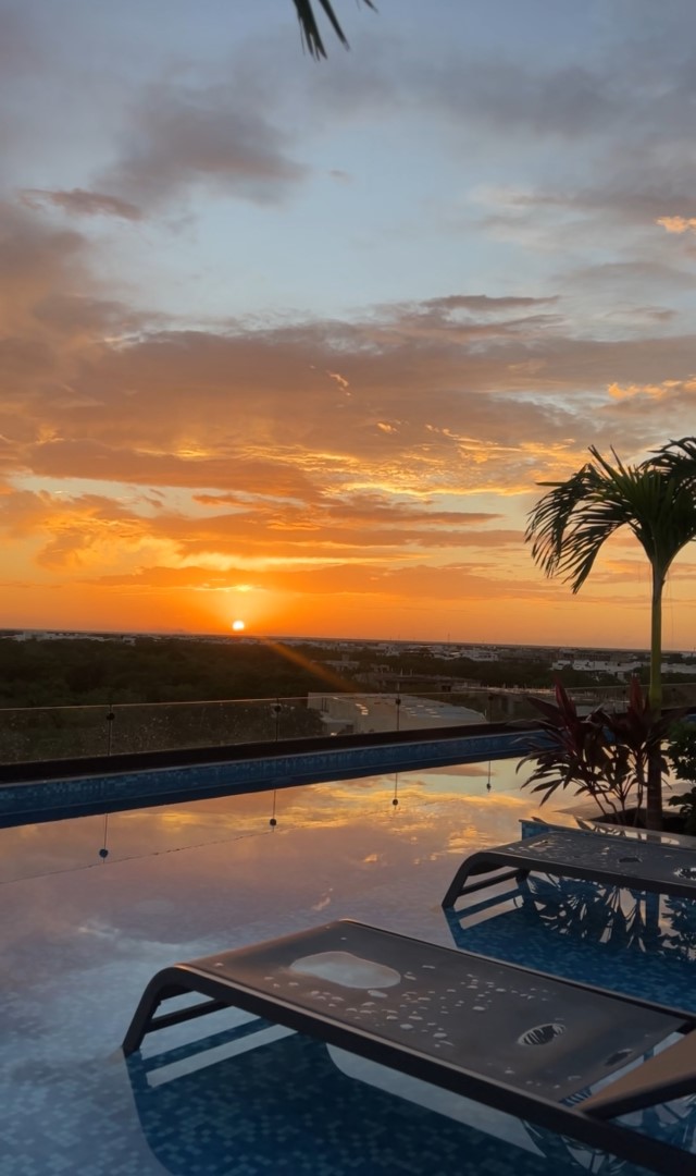 30165 Cozy studio from succesful  - Condo