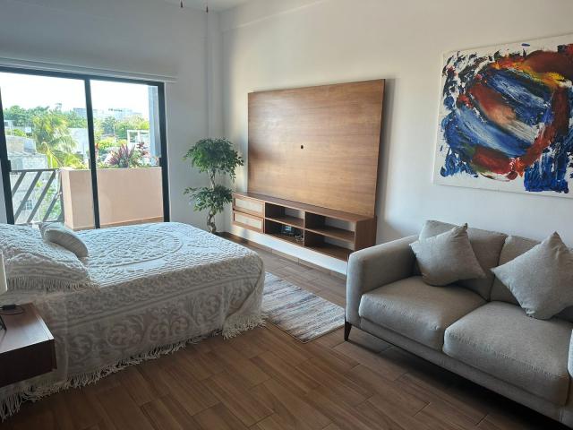 Spacious and modern studio in Playa del Carmen