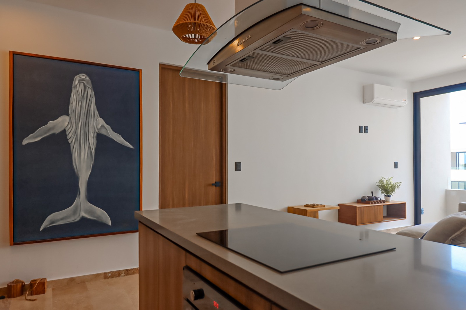 Two-bedroom penthouse in a high-value area