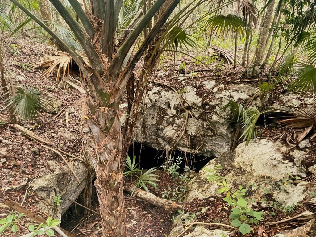 Hectare with private cenote in Region 12