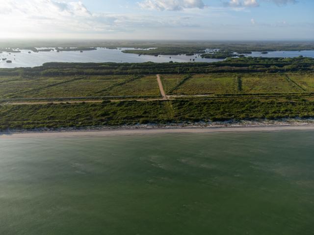 Extraordinary residential lot facing the sea in Sisal