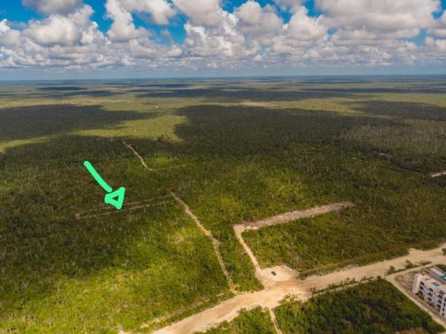 Residential lot in exclusive area.