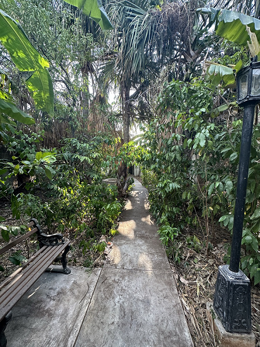 Spacious house in the center of M&eacute;rida, Yucat&aacute;n