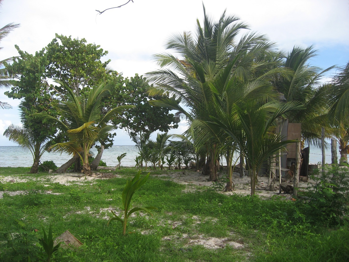 Majahual