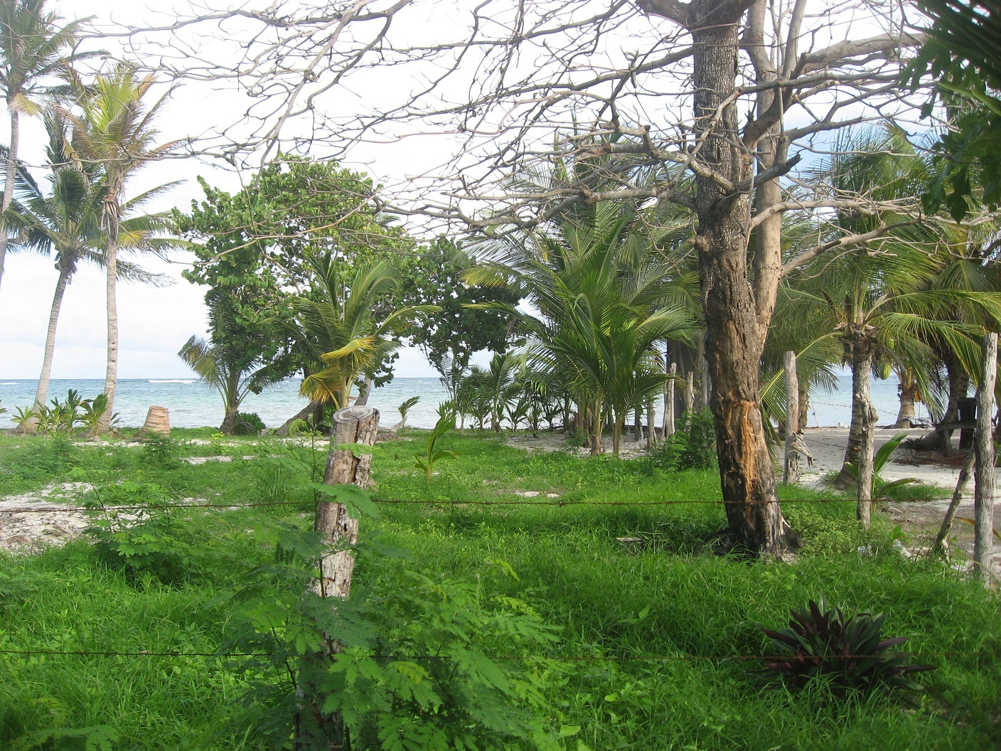 Prime Beachfront Opportunity: Expansive Lot in Mahahual