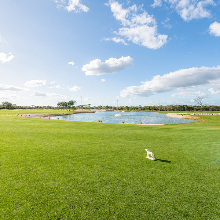 41059 Land Lot in popular Golf Club Progreso  - Lot
