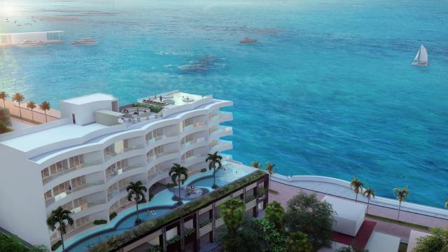 Two-bedroom beachfront condo in Cozumel