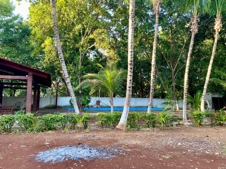 43702 Property with Pool in San Francisco de  - SingleFam Lot