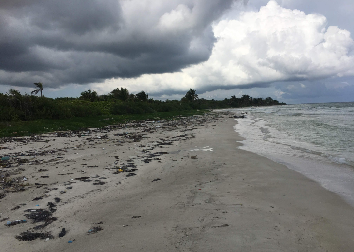 Beachfront Lot in Mahahual A Prime Investment Opportunity, Majahual