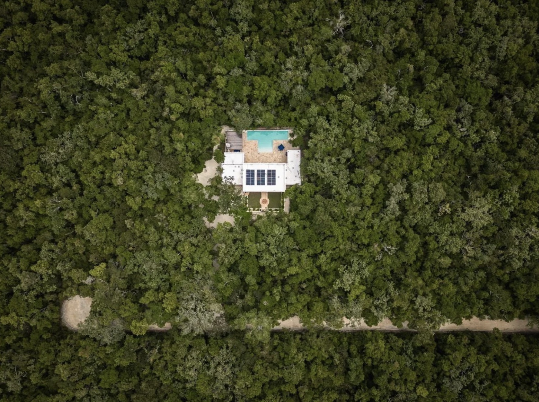 Tulum Jungle
