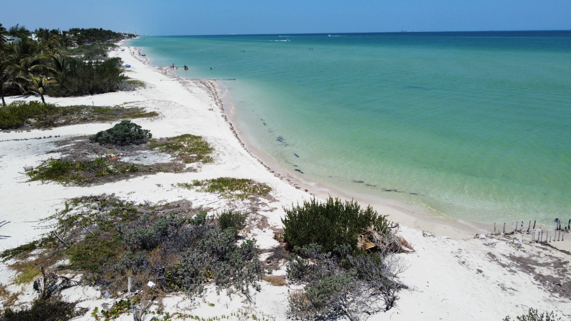 Chicxulub