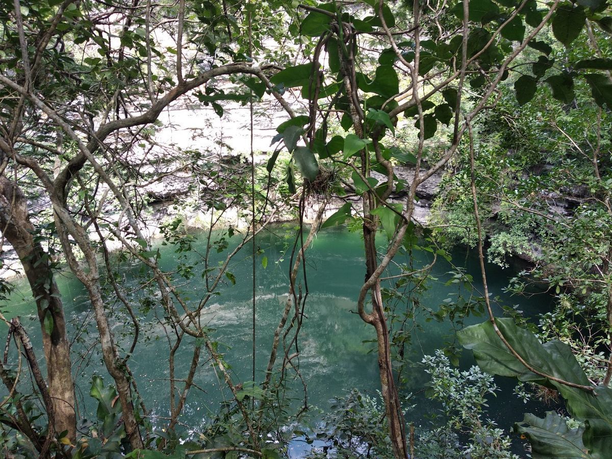 44104 175-Hectare Lot in Yucatán with  - Lot
