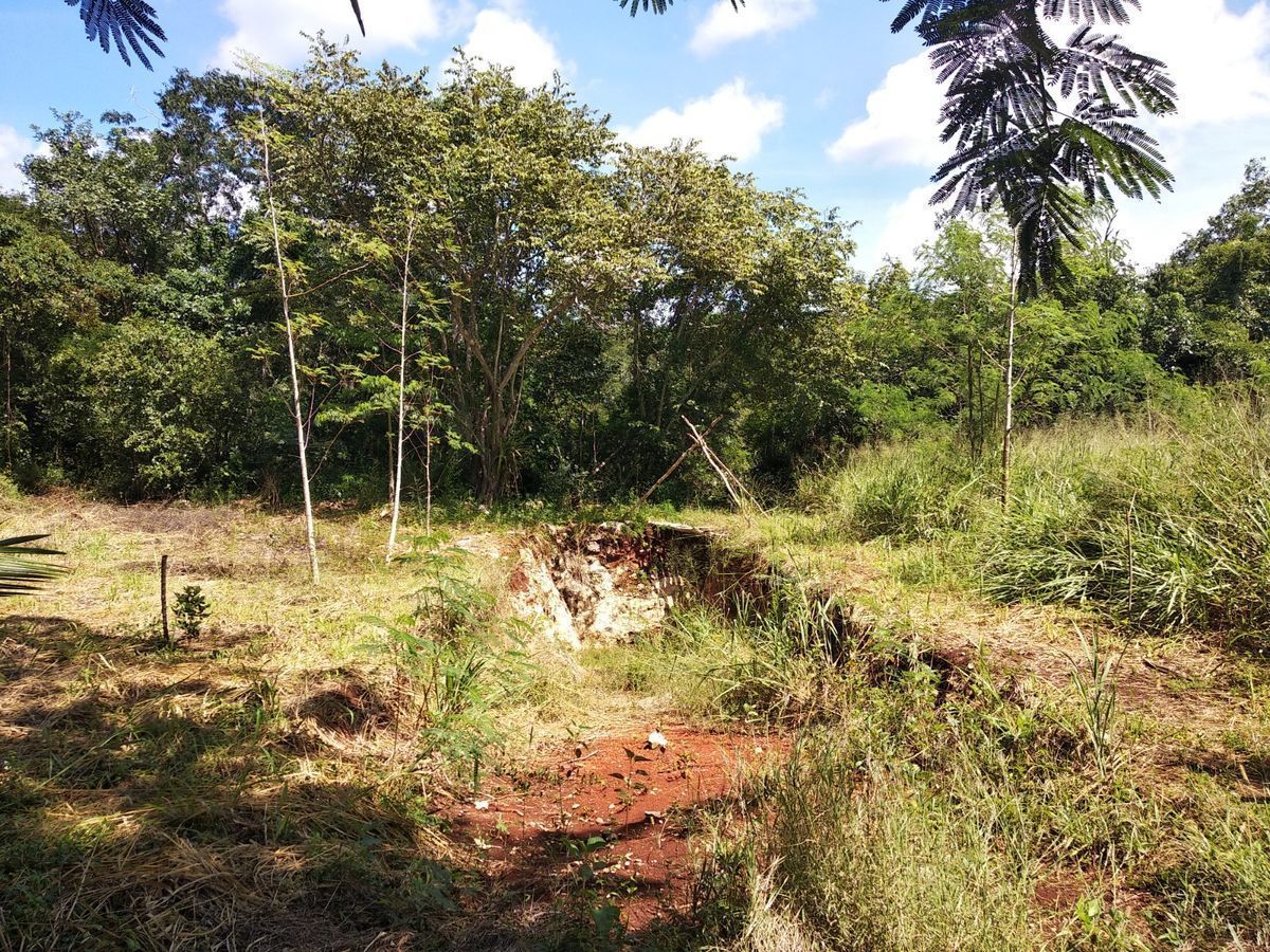 175-Hectare Lot in Yucatán with Cenote