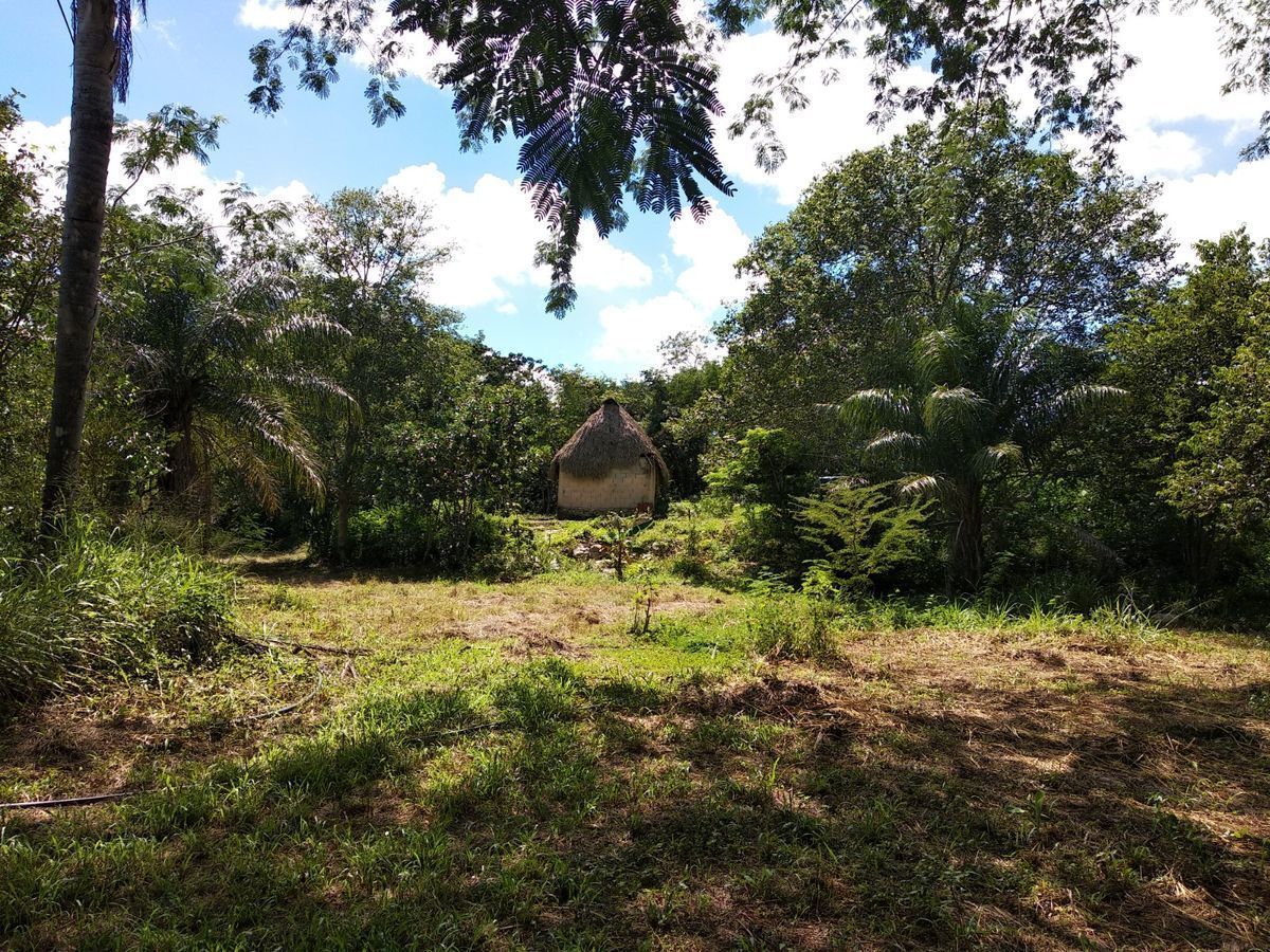 Merida Periferia