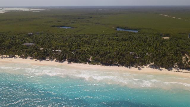 Beachfront land in Tulum.