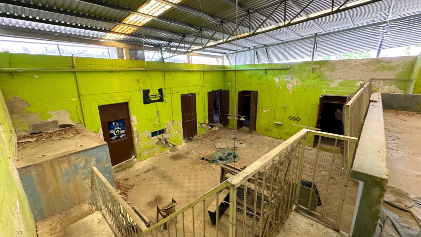 Colonial Property in the Heart of Guadalupe Neighborhood