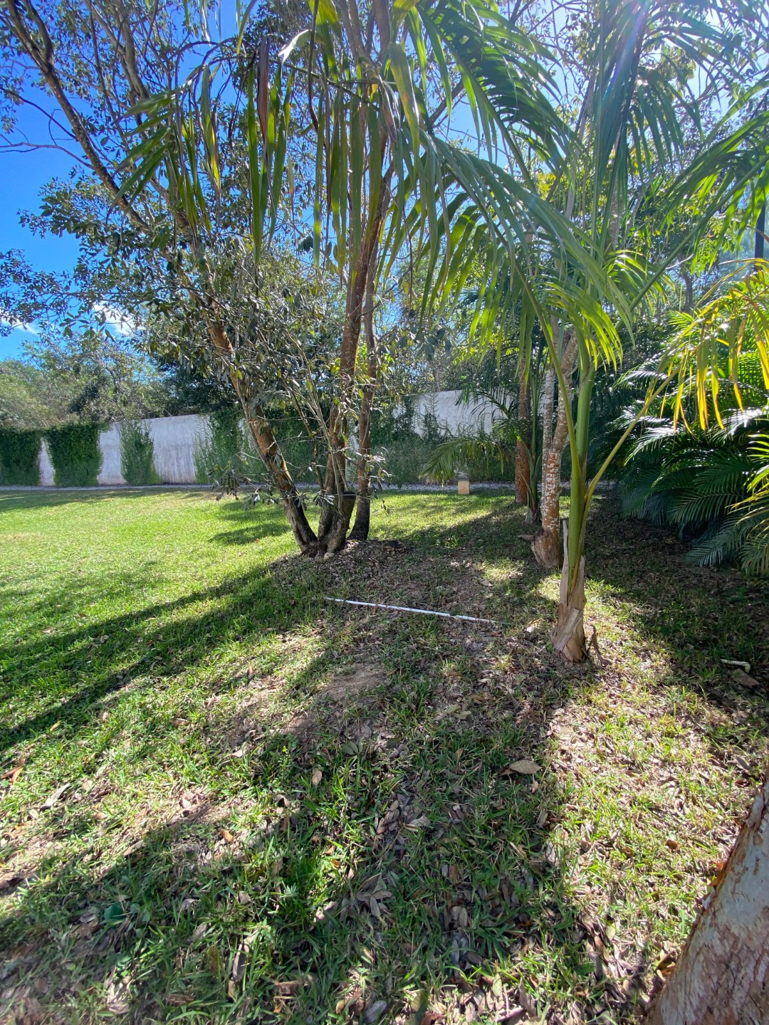 Land in a Luxury Residential Area in Northern Mérida, Yucatán