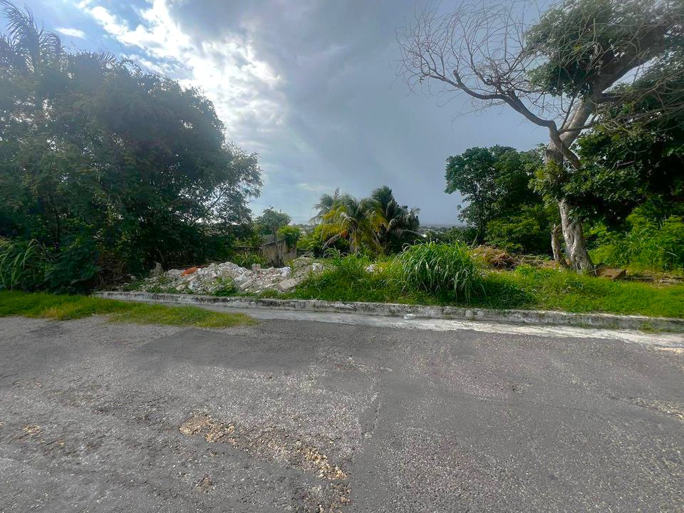 44895 Land with Sea View on a Hill in  - SingleFam Lot