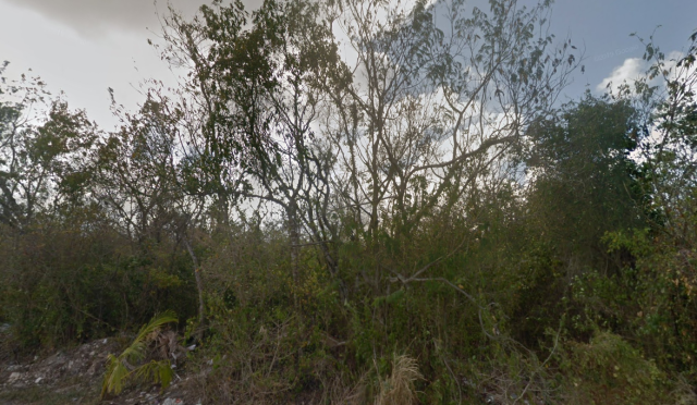 Residential Lot for Sale in Cozumel, Mexico