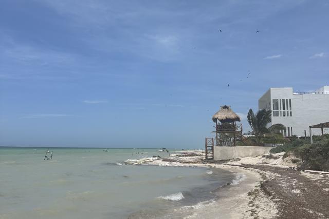 Land for sale in San Benito Beach, Yucatán