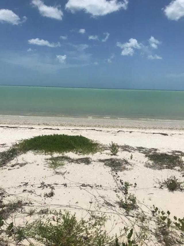 Beachfront Lot in San Joaquín, Campeche
