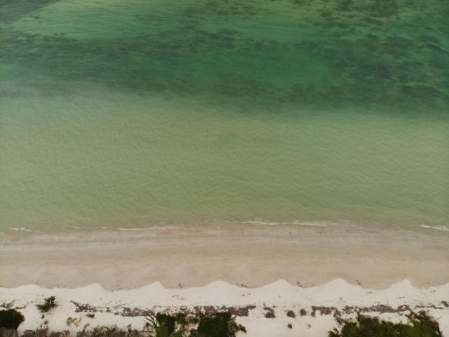 Beachfront Lot in Campeche with Sea View