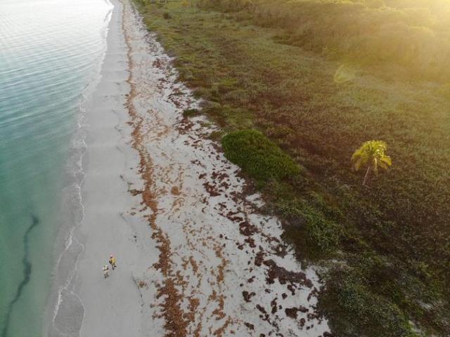 Oceanfront lot in Campeche with panoramic sea views