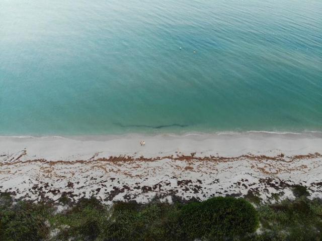 Spacious beachfront lot in Campeche