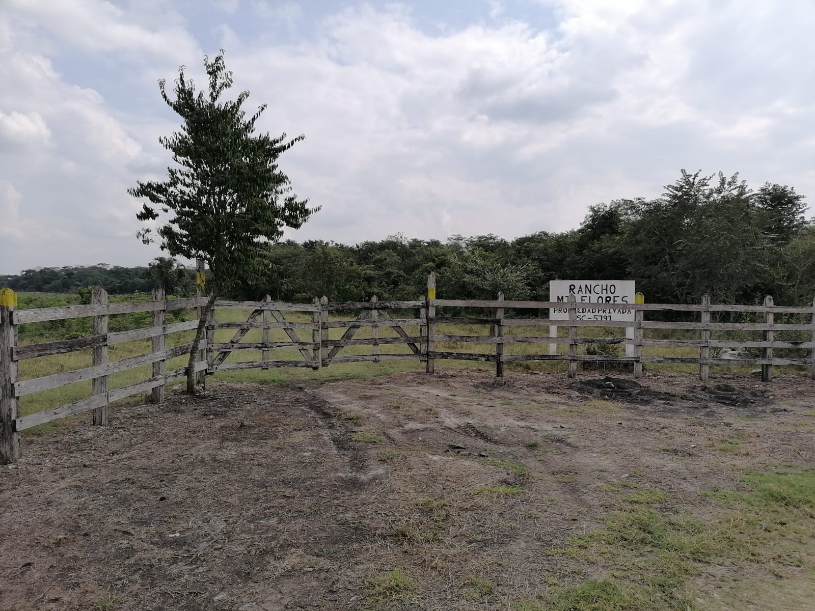 529-Hectare Private Land in Campeche