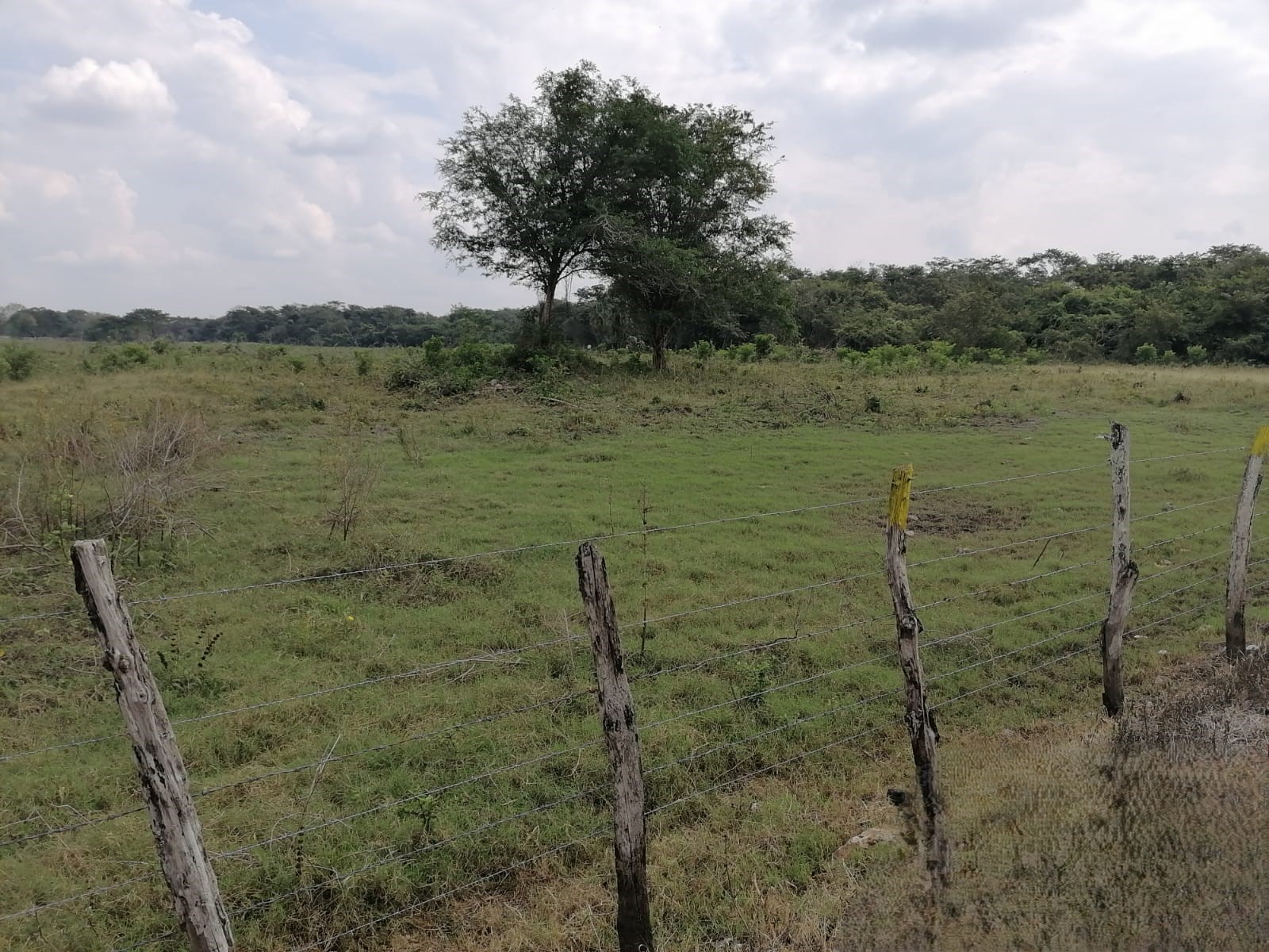 Sabancuy