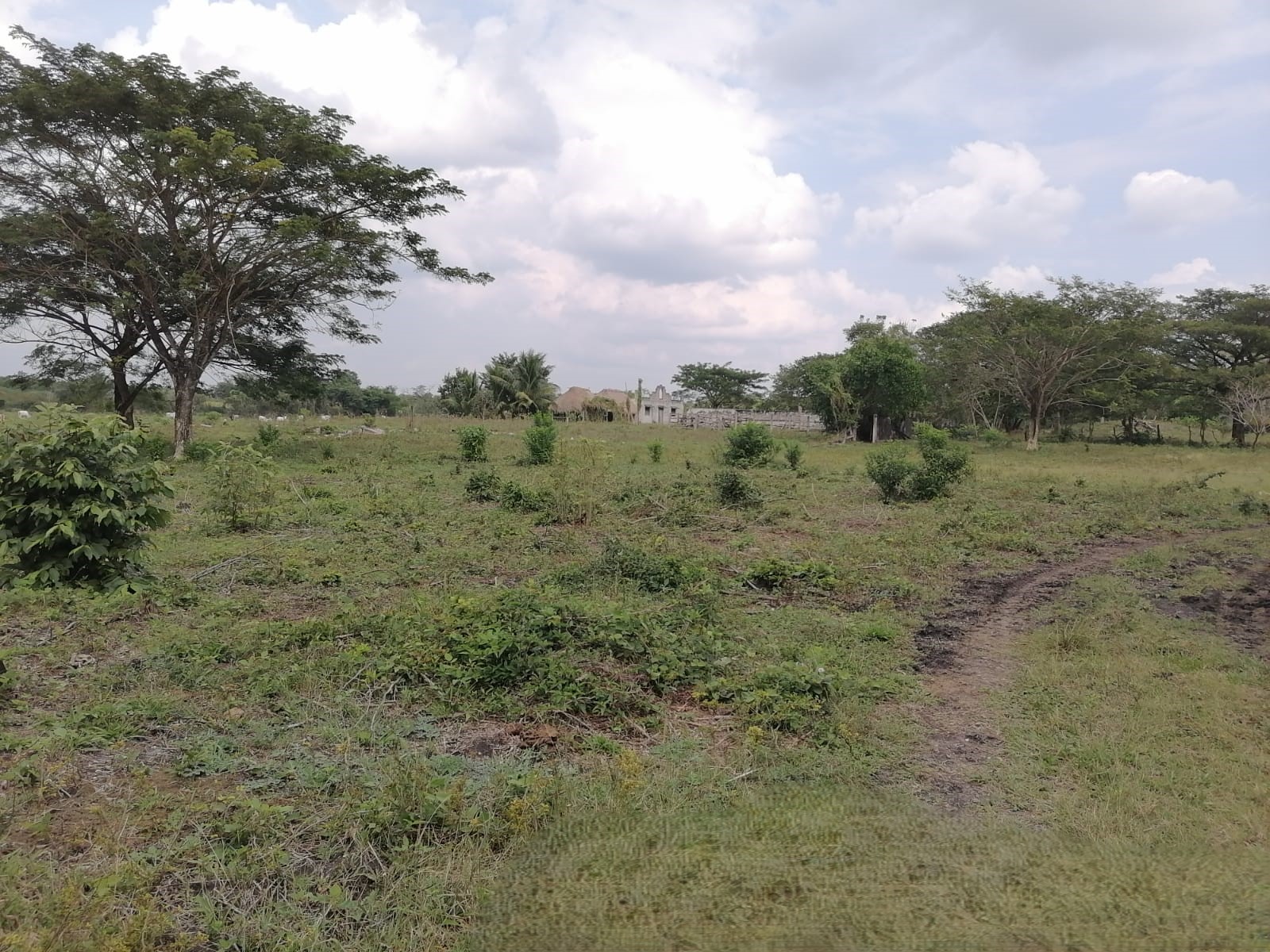 529-Hectare Private Land in Campeche