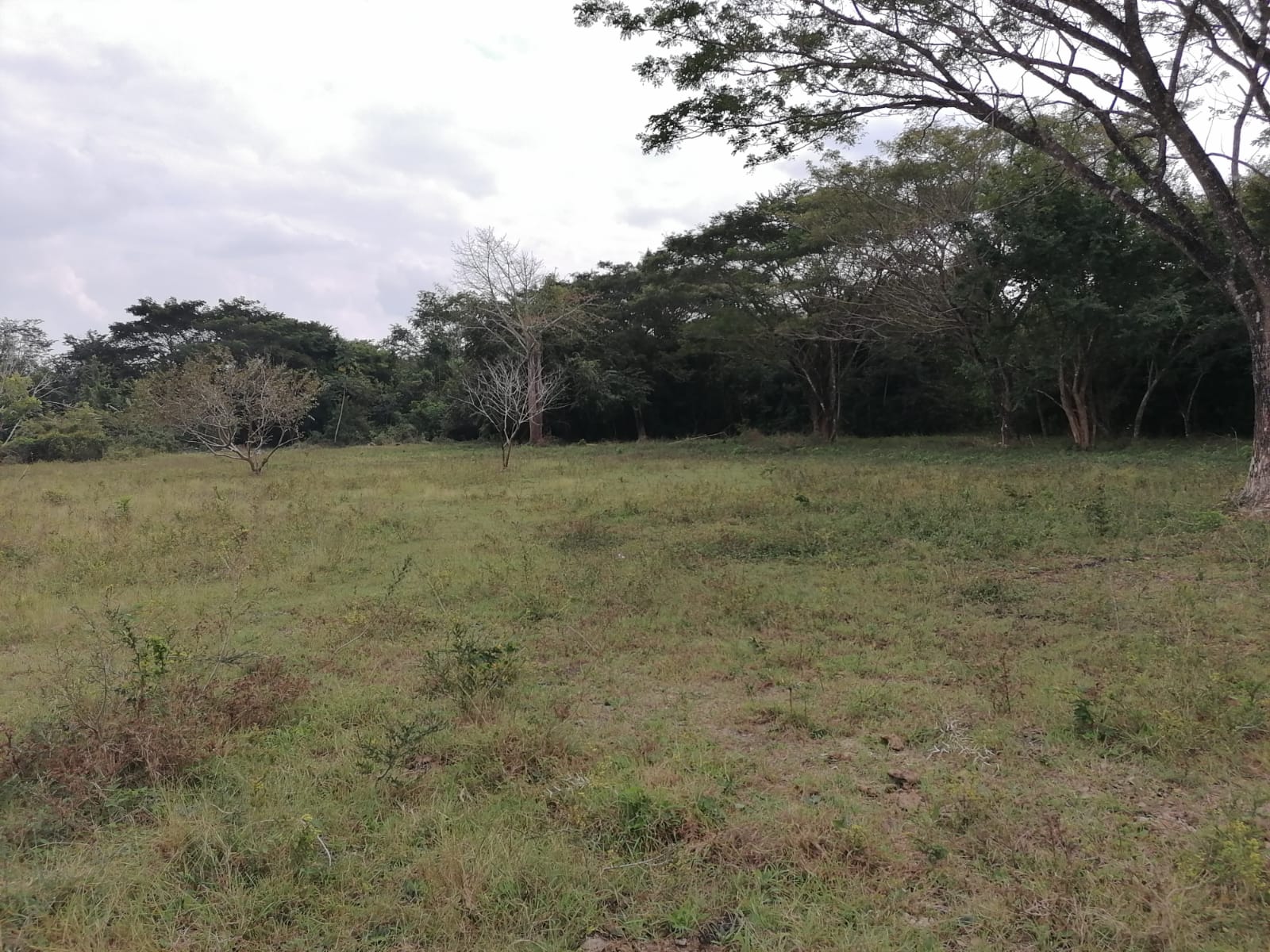 Sabancuy