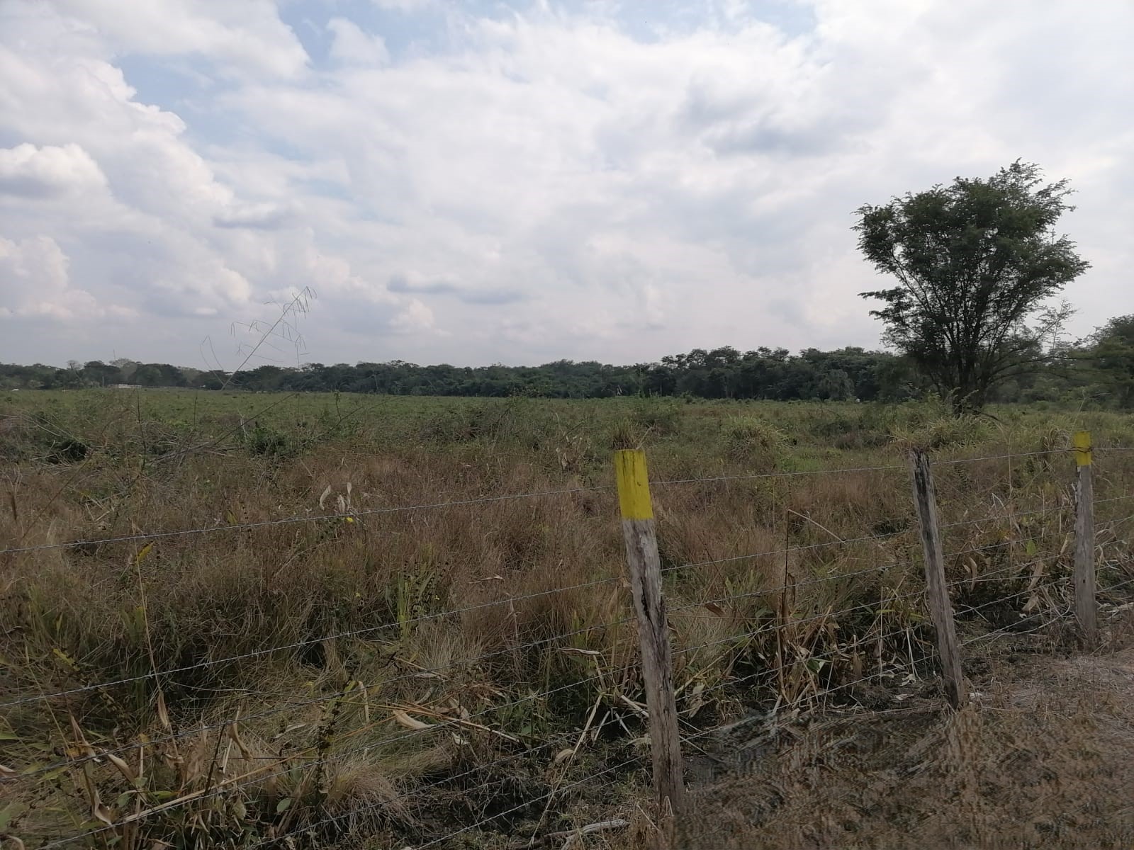 529-Hectare Private Land in Campeche