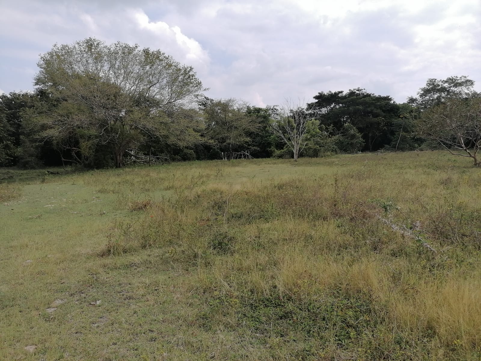 Campeche