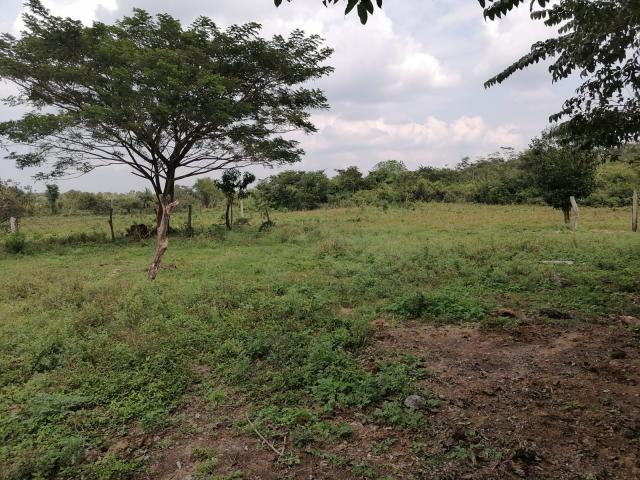529-Hectare Private Land in Campeche